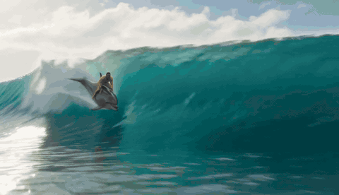 Impossible Dolphin Ride